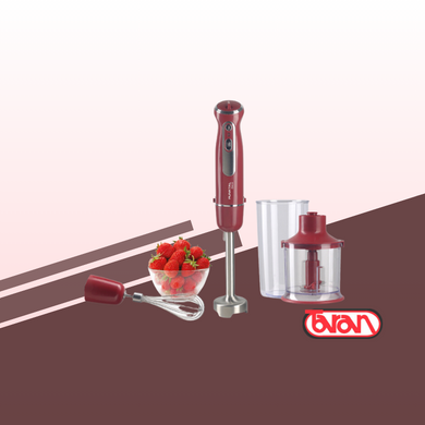 MIXER CON ACCESORIOS PUNKTAL PK-596 MA