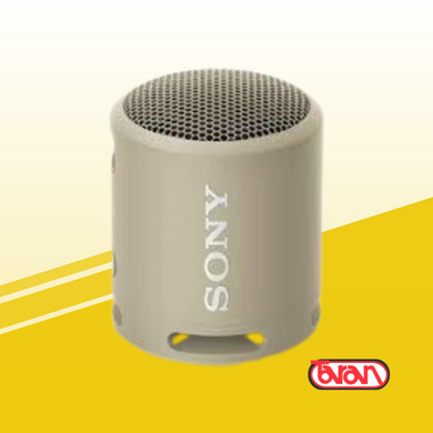 PARLANTE PORTATIL SONY SRS-XB13