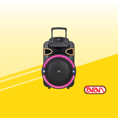 PARLANTE ACTIVO 12" RECARGABLE XION XI-SD114