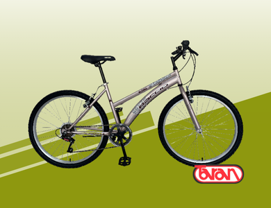 BICICLETA MONTAÑA BACCIO ALPINA LADY 24