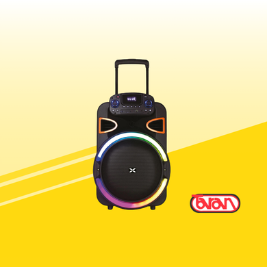 PARLANTE ACTIVO 15" RECARGABLE XION XI-SD116
